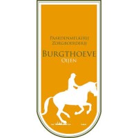 Burgthoeve logo - Similar company to Kubus Ondersteuning
