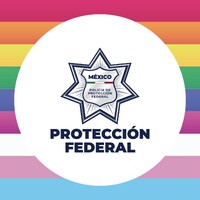 Servicio de Protección Federal logo - Similar company to Terciaco México