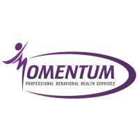 Momentum Inc logo - Similar company to Amego, Inc.