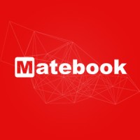 Matebook Group logo - Similar company to Afrimate Consulting