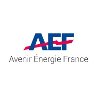 AEF-GROUPE logo - Similar company to Pulse Eco