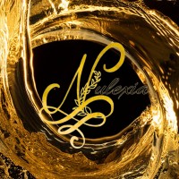 Nulexia Career, Recruiting & Business Consulting logo - Similar company to Frc Recruiting