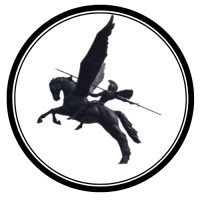 Urban Pegasus LLC logo - Similar company to Malaya Services