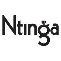 Ntinga logo - Similar company to Ntinga Information Systems