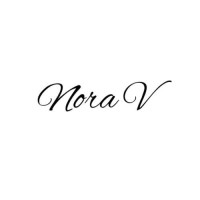 NoraV logo - Similar company to Bbs Edb Ltd