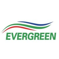 Ever Green Energy & Investment Pvt. Ltd. logo - Similar company to Cms Group