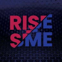 RISE-SME logo - Similar company to Narrate Project