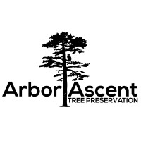 Arbor Ascent logo - Similar company to Texas Tree Surgeons