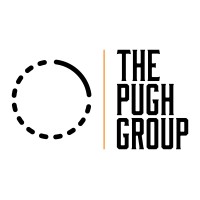 The Pugh Group logo - Similar company to Backupvault
