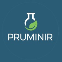 Pruminir logo - Similar company to Alfavinil S.A.