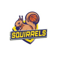 BV Squirrels logo - Similar company to Experience College
