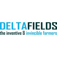 DELTAFIELDS logo - Similar company to Deltafield Engineering