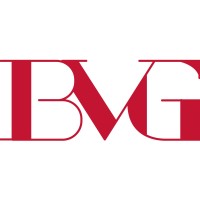 Belvingroup logo - Similar company to Belvingroup
