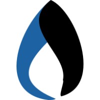 SARyS logo - Similar company to Instituto Didactia