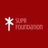 SUPR Foundation logo - Similar company to Perfect Electronics