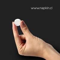 NAPKIN CHILE logo - Similar company to Payscan