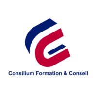 Consilium Formation & Conseil logo - Similar company to Formation-Izi