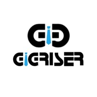 Gig Riser logo - Similar company to Digi Trainers
