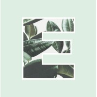 E-SCAPE (Landscape Architecture Society) logo - Similar company to Rdc Architectural Photography