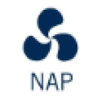 NAP E logo - Similar company to Delta Dynamic Technical & Consulting