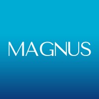 Magnus logo - Similar company to Infovertex