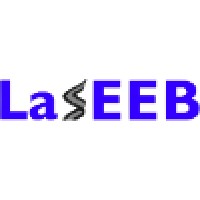 Laseeb logo - Similar company to Treetree2