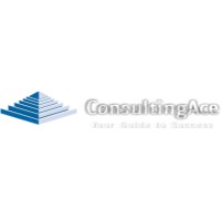 CONSULTING ACE INC.