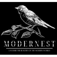 Modernest.org logo - Similar company to Apply My Internship