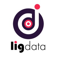 Ligdata logo - Similar company to Mailoptimal