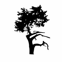 Salisbury Country Club Ltd. logo - Similar company to Offix