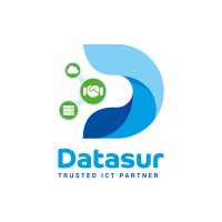 Datasur logo - Similar company to Consulytic