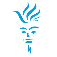 TGN I Fritom B.V. logo - Similar company to Forvision | Fritom