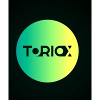 Toriox logo - Similar company to Alnitak Business Solution