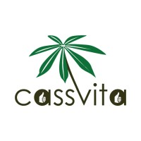 CassVita logo - Similar company to Divaloper Media Networks