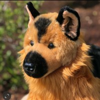 Auswella Plush®️ logo - Similar company to Numobel