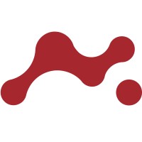 Magellano Tech Solutions logo - Similar company to Mewecom