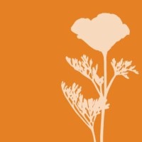 Curtis Horticulture, Inc. logo - Similar company to Beebe Landscape Services