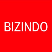 Bizindo.com logo - Similar company to Bare Odds