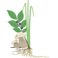 Keefer Ecological Services Ltd. logo - Similar company to Biodiversity Pathways