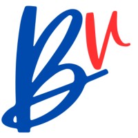 Beet Vision LLP logo - Similar company to Shahintechnologies