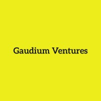 Gaudium Ventures logo - Similar company to Sys Cred