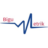 BIGUMETRIK SL logo - Similar company to Aibe_Mecanica De Precisión