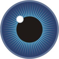 North Peace Optometry Clinic