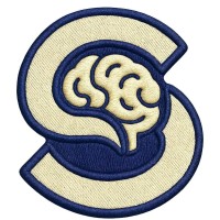 Synapse Ethiopia logo - Similar company to Unihealth Organization