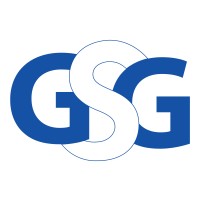 Georgia Strategy Group logo - Similar company to The More Than Numbers Program Incorporated