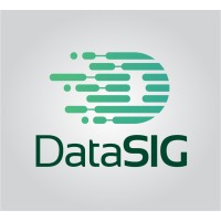 DataSIG logo - Similar company to Digisys Techworks