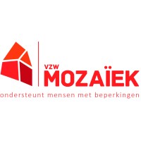 Mozaïek vzw logo - Similar company to Scholengroep Connected