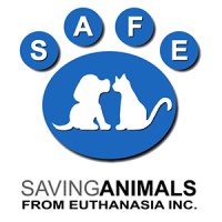 SAFE | Saving Animals From Euthanasia Inc. logo - Similar company to Holy Innocents' Episcopal School
