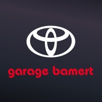 Garage Bamert AG logo - Similar company to Viacar Ag