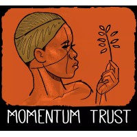 Momentum Trust logo - Similar company to Lixnet Technologies